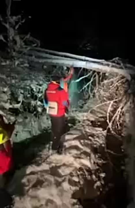 � ������� ������� � �������� ����� ��������, ������������ � �����