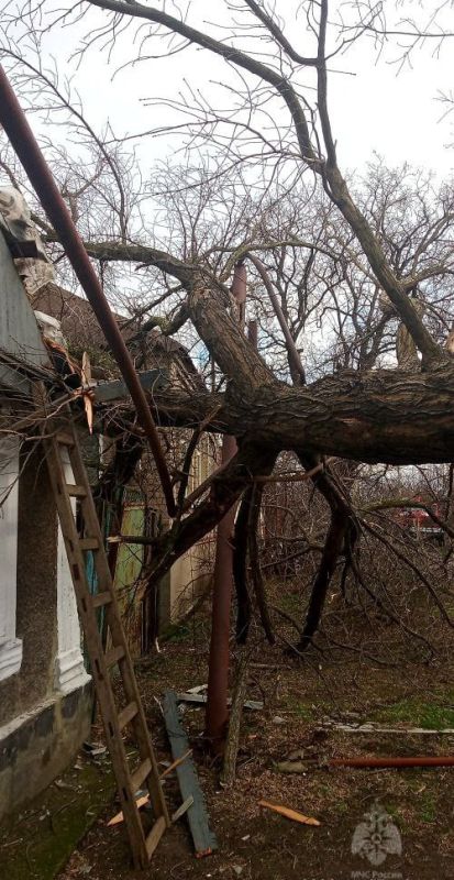 27 ������ �� ����� 101 ������������ �������������� ������ ��������� ��������� �� ����������� ��� �����������, � ���, ��� �� ������ ���. ����������, ��. ���������, ����� ������ � ������� �������� �� ������� �����