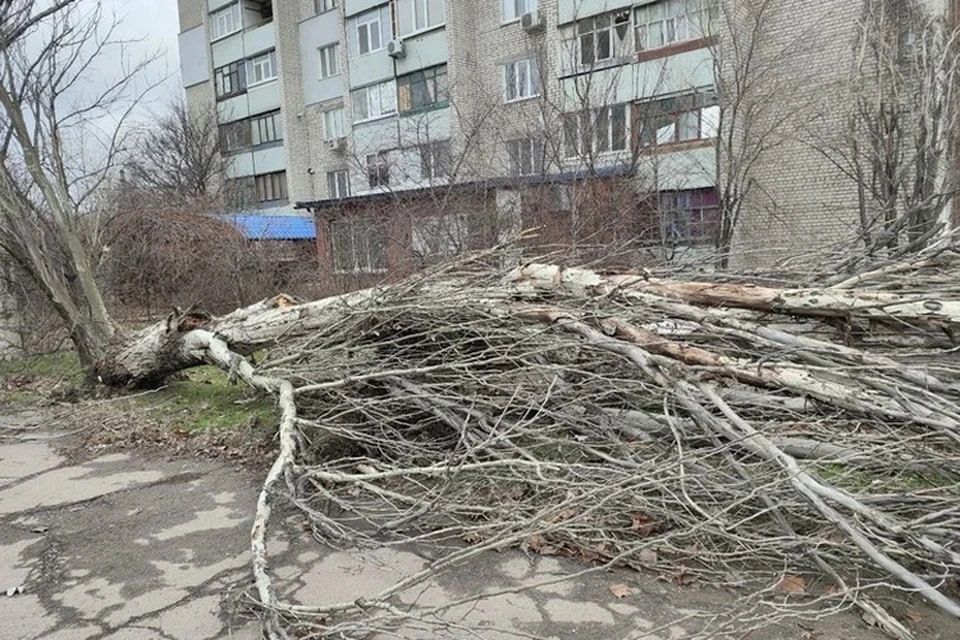 � ��� ������������ ����� �� 20 �/� 28 ������