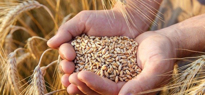 ������� ��������� � �������� ����� ���������, ���������� ��������� ������������ ���������������� �������� (�������) �� ������ � ���������� ����������� �����