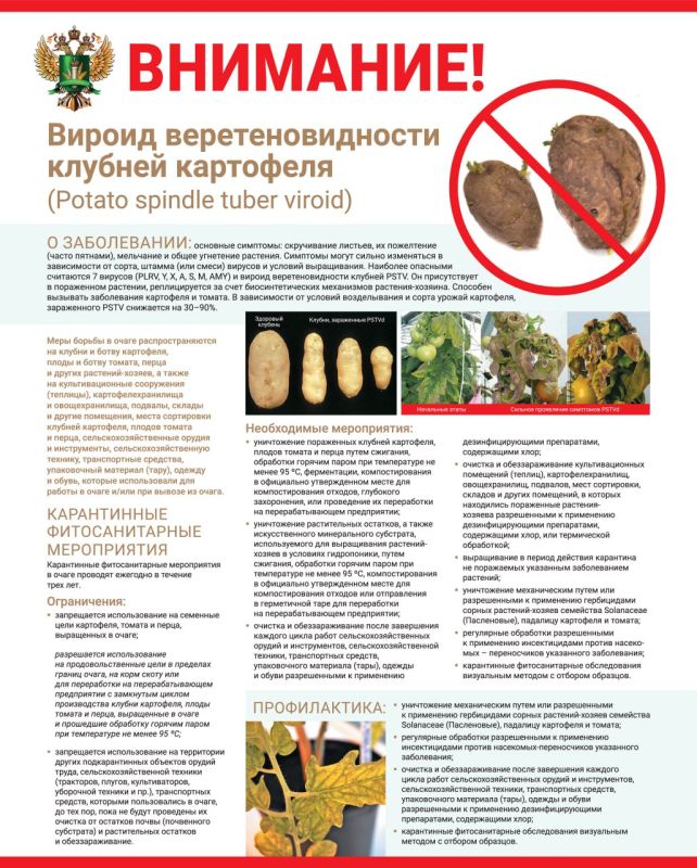 ����������� ������- ������ ���������������� ���������