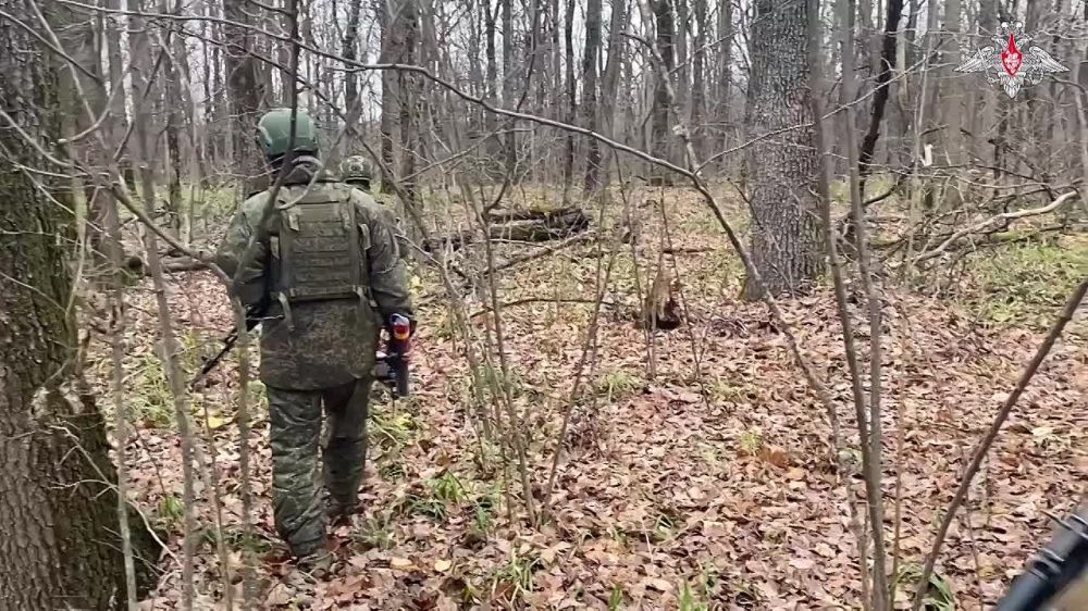 �����-��������� ����� � ���������� ������ ��������� ���������� � �������� ��� �� ��������� �����������