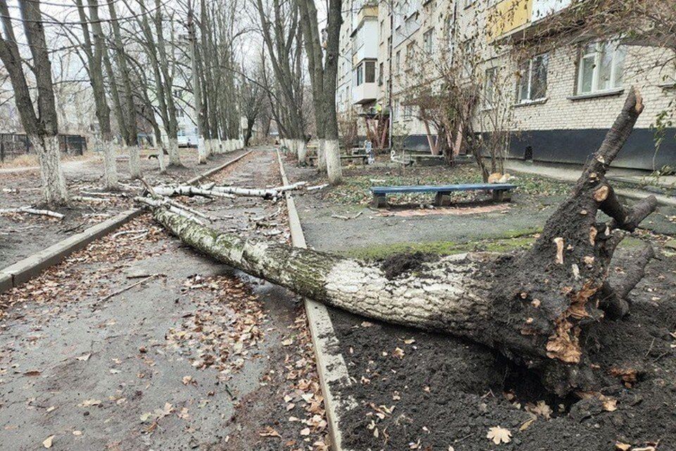 � ���������� �������� � ��������� �������� ���������� ��������� ����� ���� � ���������� �������