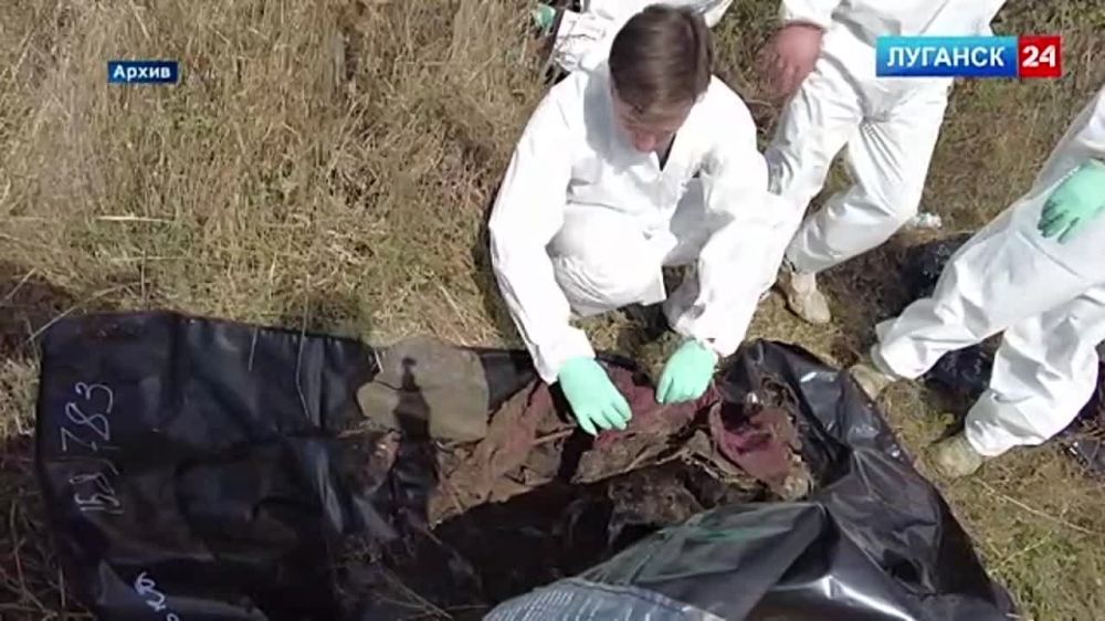 � �������� ������� ������������ �������� ������������� ���� ��������