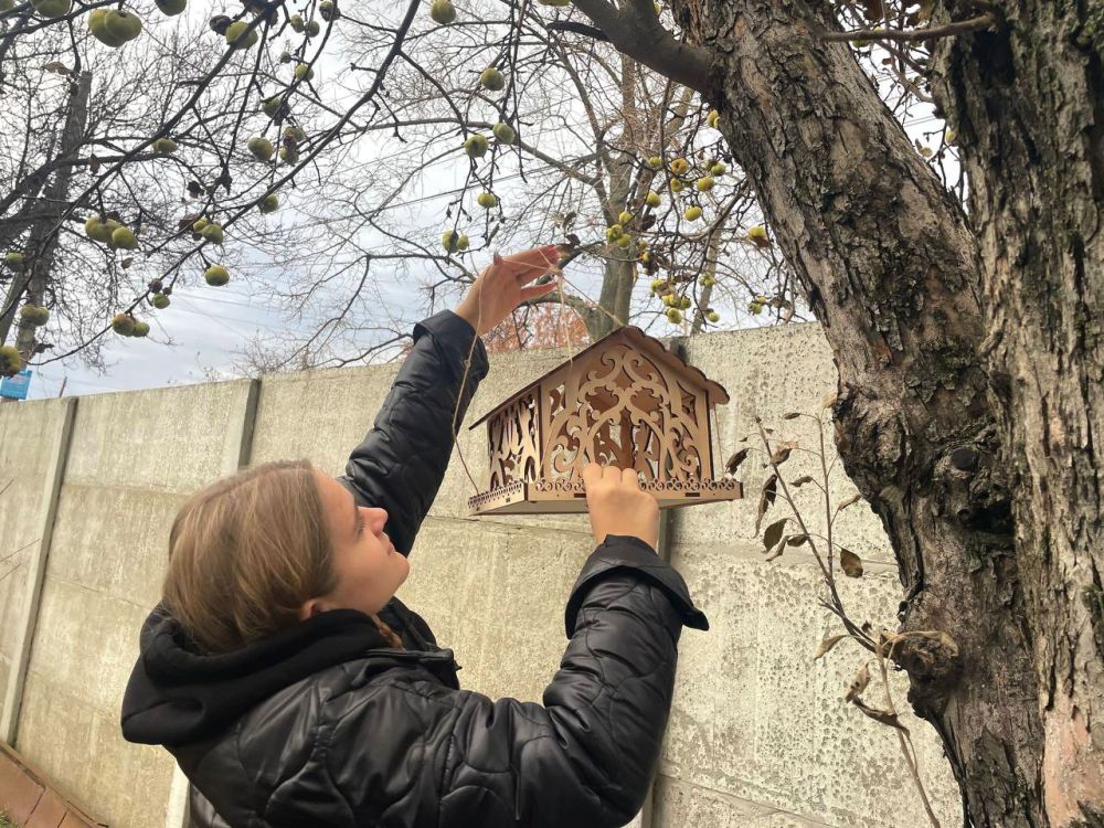 ���������� � ��������� ������������ ��� ������ ������