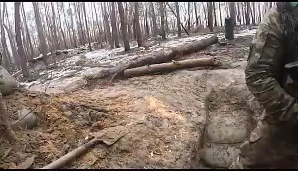 �� ������ ��� ��������� �������� �� ��������