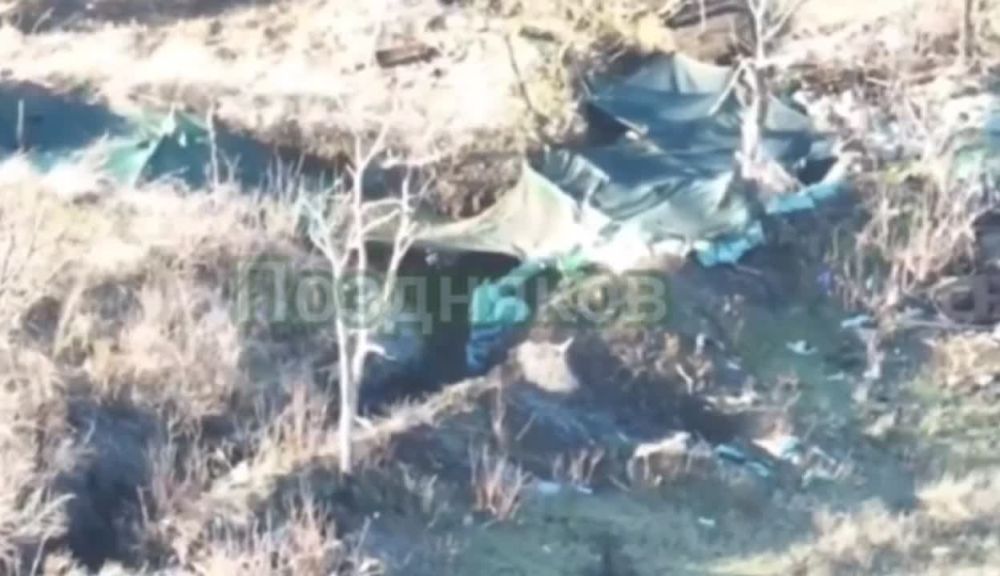 ����-��������� ������� �������� ������ � ���������