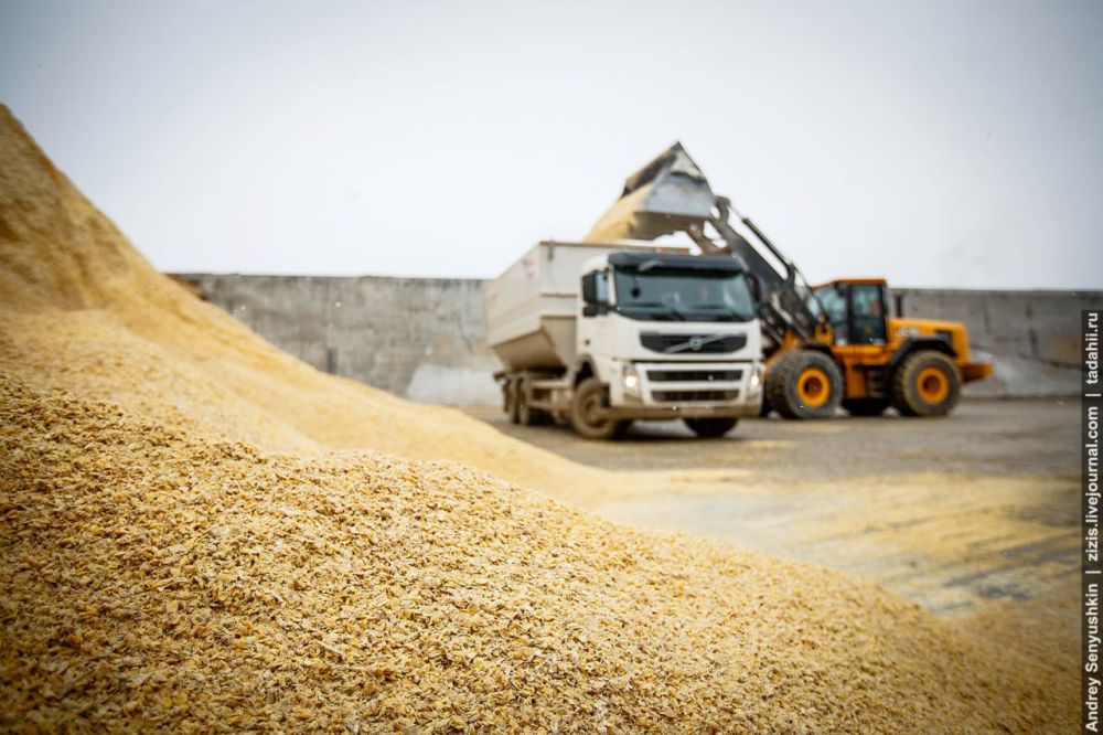 ���������� � ��������� �����