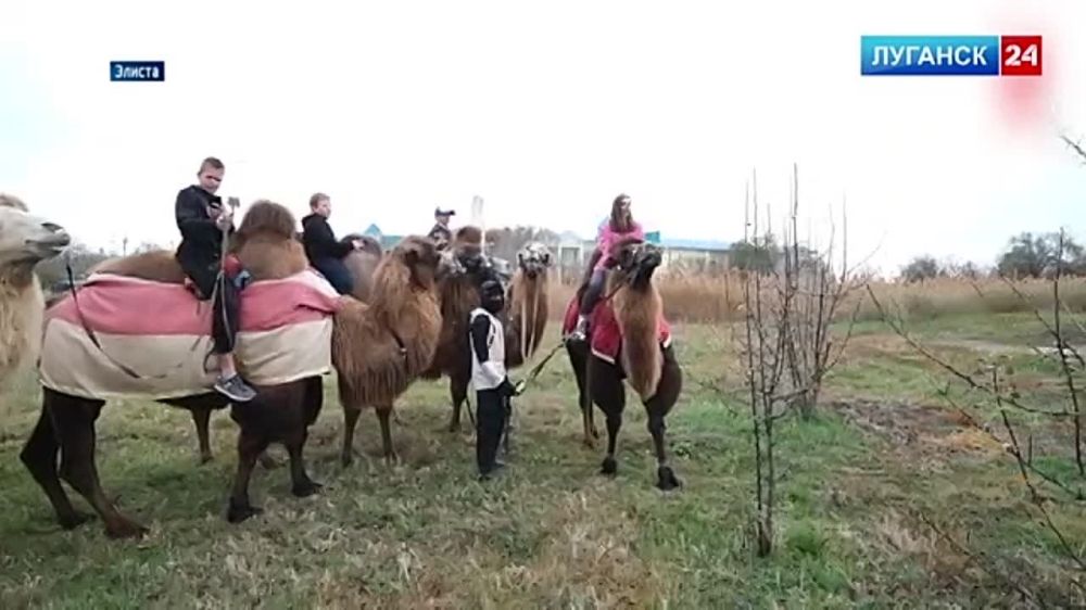 ������� �������� ����� ����� ����� ������������ ��������� ������������ �������� � ������