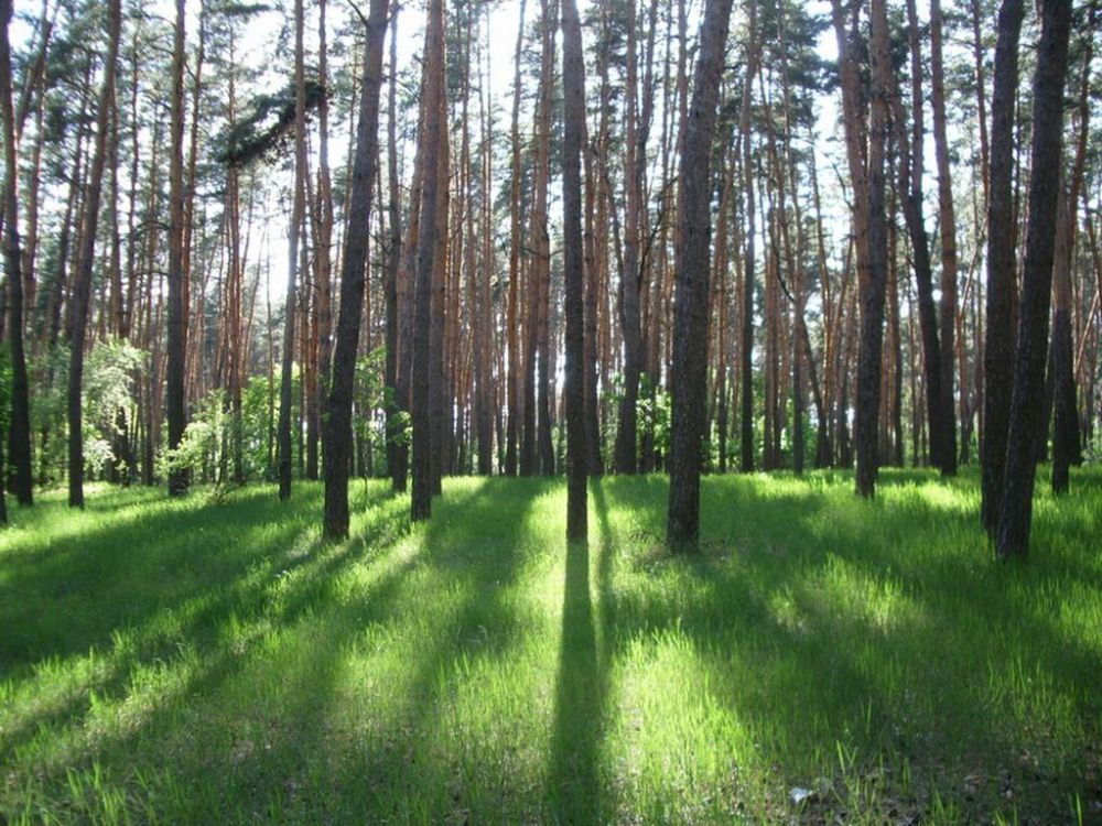 � ������������� ����������� ���������� �������� ����� ������������ ������������ � ���������