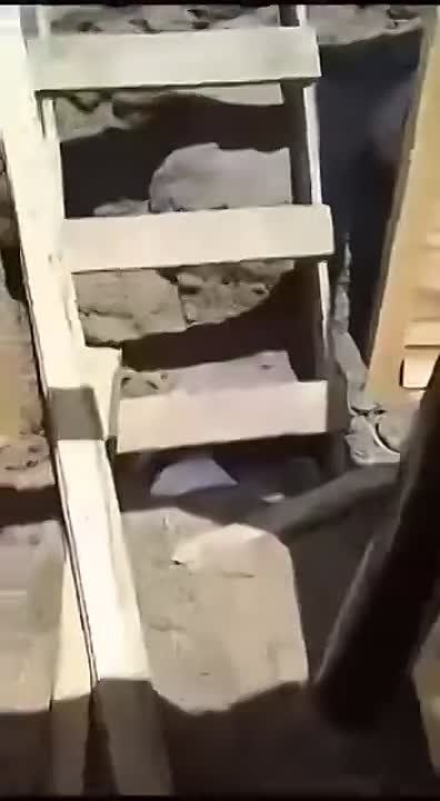 ��� ��� ��� ���������!. ����� � ���, ��� ������������ ����� ��������� ������� � ���� ������ ��������. ��� ���������� � ��������������� ������������, ��� ��� ������� ������, ��� � ��� ������