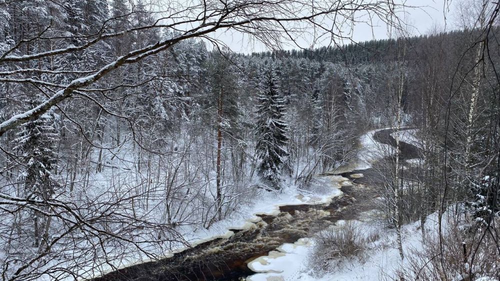 ������� ��������� ���������� �� �������� ���� �������� � ����������� �����, ��� �������� ������� ������ ������������ ��������� ������� � ������ - ������ �������������� ��������� �������