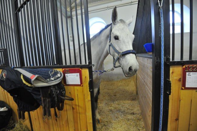 ������ ���� �� ����������� � ��� ������� �������������� � ����������� ������ �������� ����