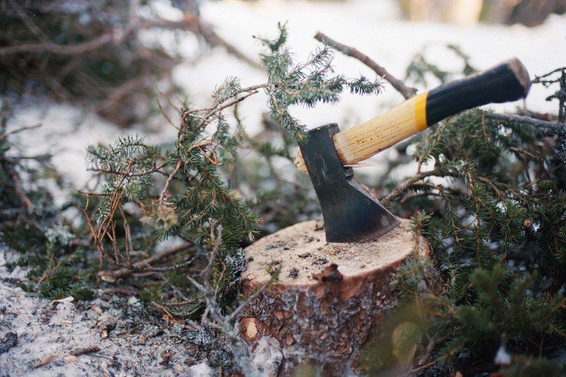 ���������� ��� ����������� �� ��������������� �� ���������� ����� ������� ��������