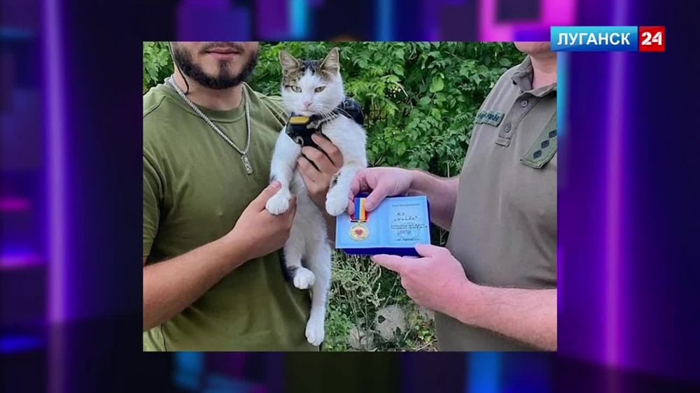 ����� ������ ��������� �������� �� ������� �� ���������� �������� 24� ��������� ��� � ��������� ������������, ������� � ���������������, ������������ ��������� �� �������