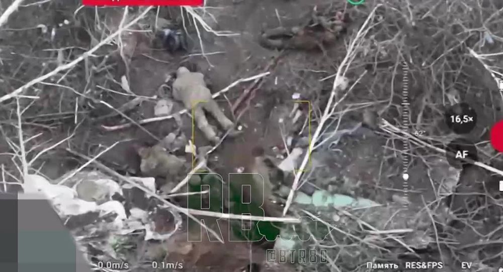 ��� �������� ������� ���������� ������� �� ��������������� �����������, �� ������ �������