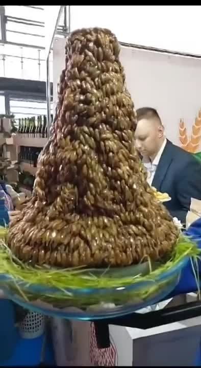 ���������� �������� ������������ ��������� �������, �������������� �� ��������