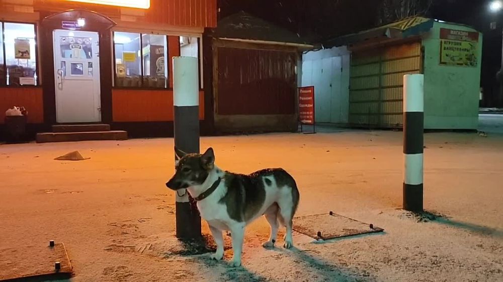 ������� �������� ������, � ���� ��������� ������ ��������� ������