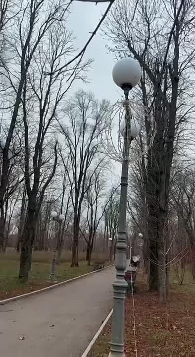 ������� ���������� ������� ��������� � ������ ����