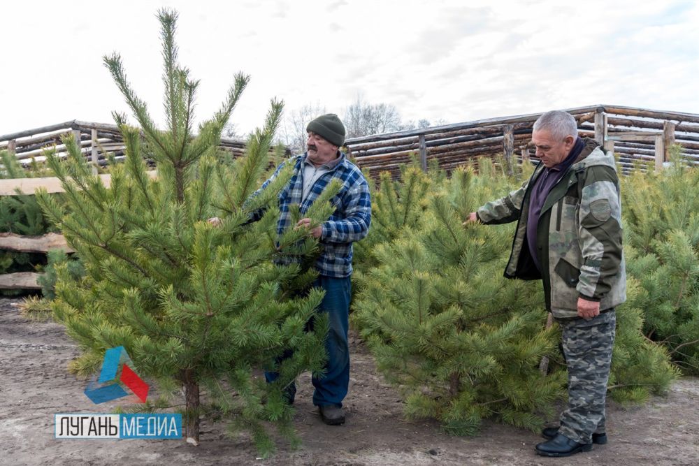 � ��������-��������� ������ ���������� ������� ��������!