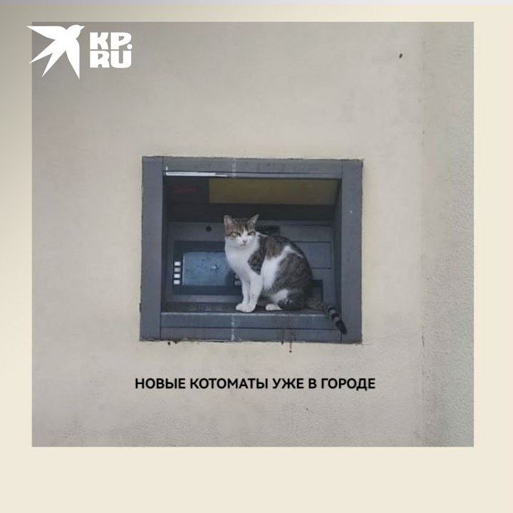 �� ������ �������� ���������� ����� ������������� ��������