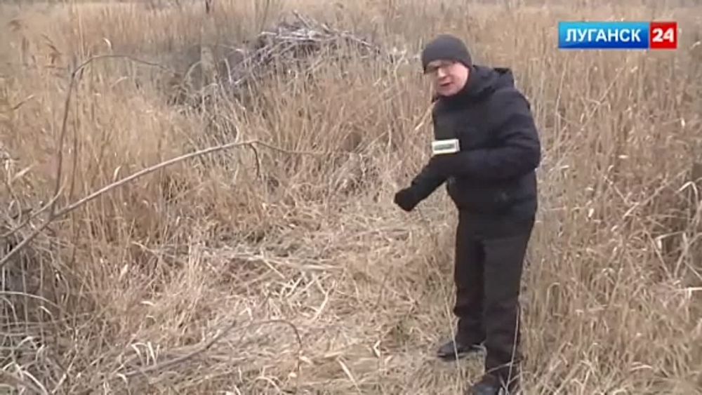 �����������, � ���������� ������� ���� ����� ���������� �������� � ���������� � ���������