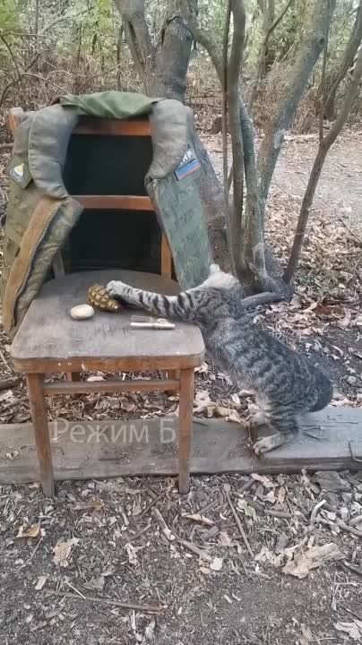 � ������� �� ��������� ������ ����� ���������� ���!