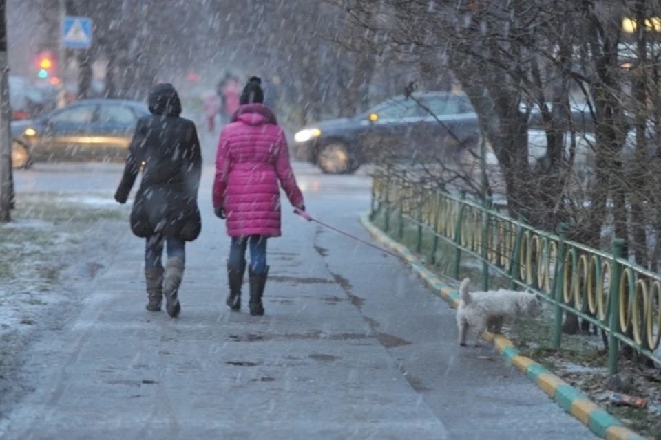 �� - 5 �������� � ������� ��������� � ��� 11 �������