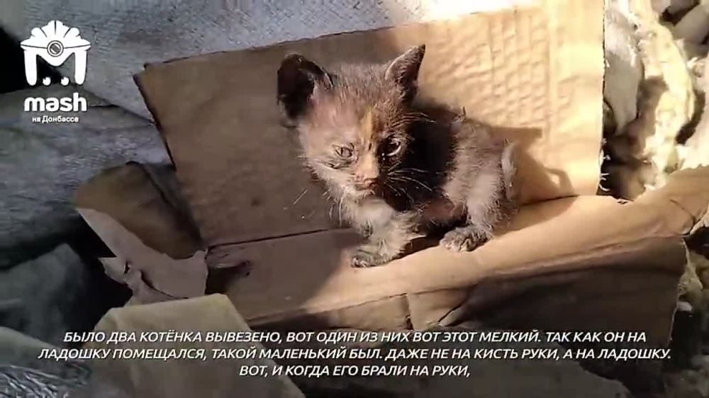 ���� ����� ������� �� ������ ������������ �����