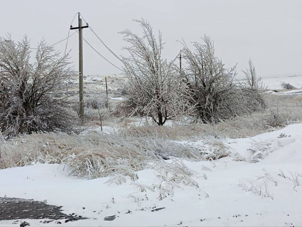 ������ ��������: � 9 ������� �� ���������� ���������� ����������� ������� �������� ��-�� ��������