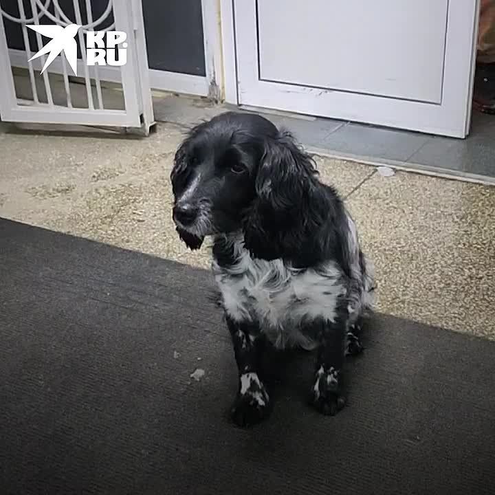 ������ ���������� �� ����� �������� ��������