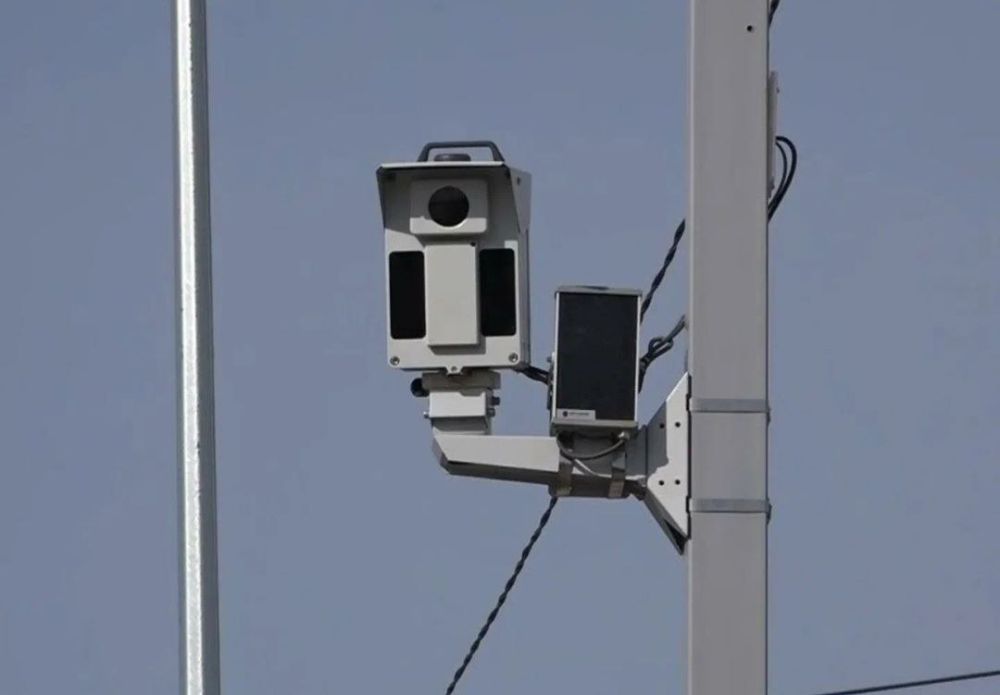 ������ �������� ��������� ������ ��������� �������� �������� �� ������� ��� � 2024 ����