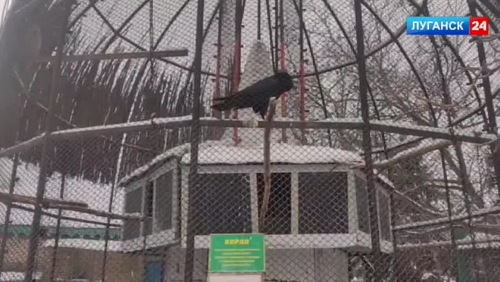 ������� � ������ ���������� ���� ������ ������� � ������� ����� ������