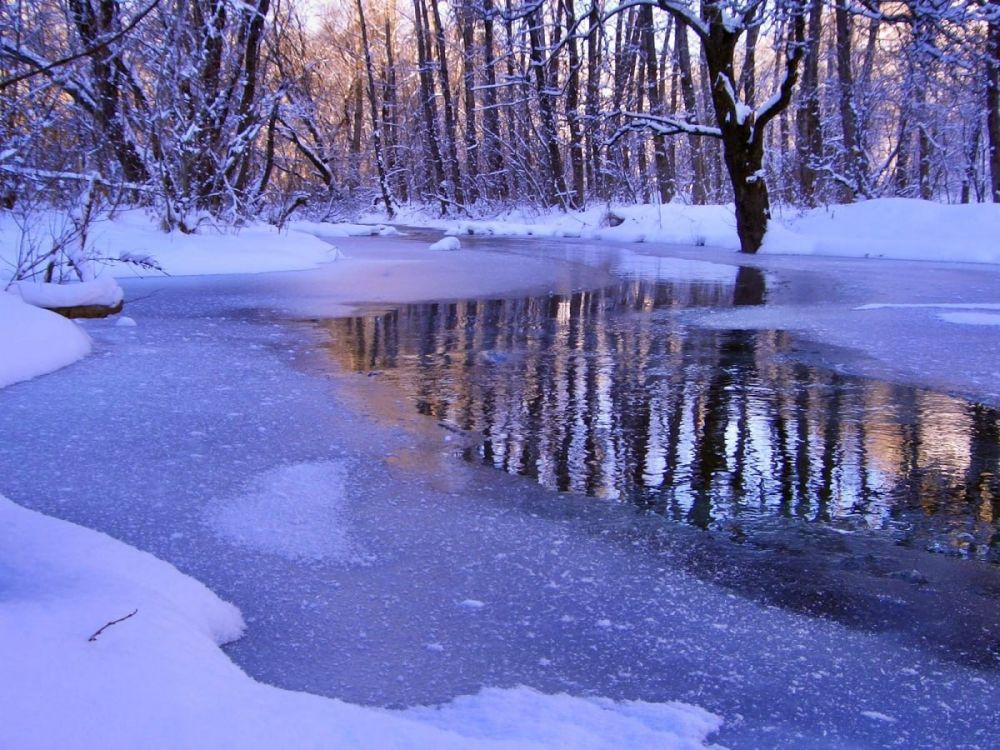 ������������� �������� ���������� � �������� ������������ ������ �������� � ������ ������