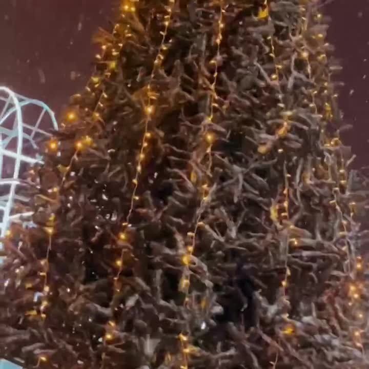 ����� �������� ��� ������� ��� ���������� �������� ������ �� ���� �������� ����� �������, � �� �������� � ���������