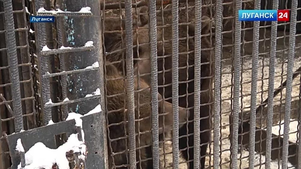 � ������ �������� ���� ������ �������