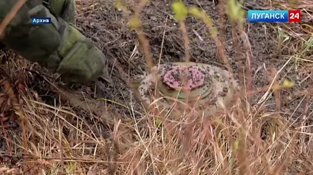 � �������� ��������� ������� ���������������� ������� ������ �� ������� ����������� ����� ���������� ��������, �� ������������� � ������������ ������