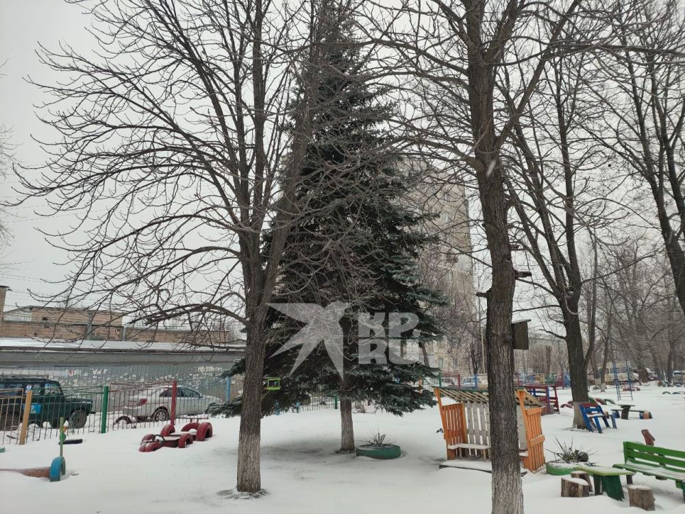 ��������� ���� ������ 13 ������� � ��������