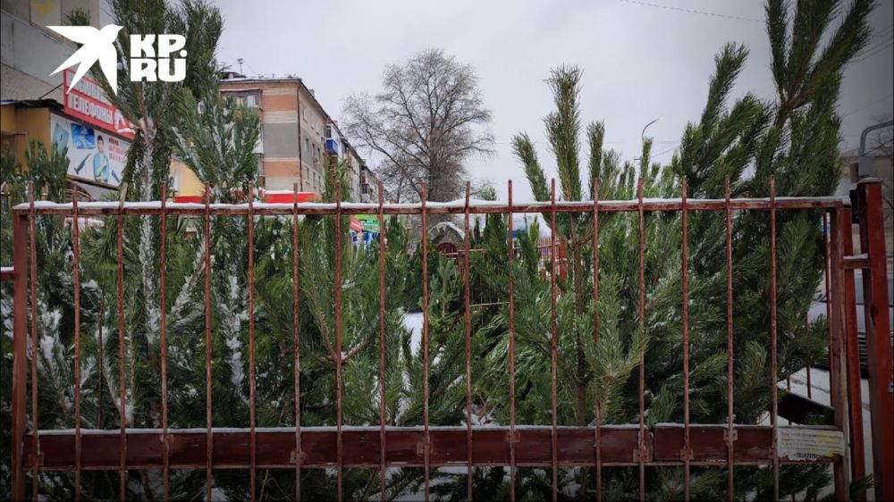 � �������� ������ ������� ����