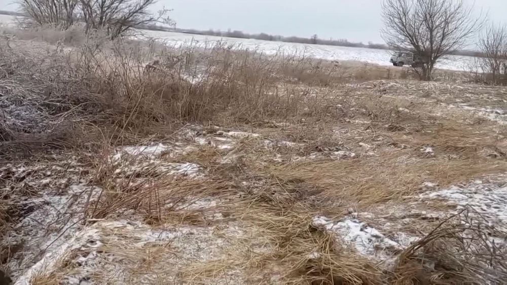 ����������� ���������� ���������� ��������� ������ �� ����������� ������������� ��������, �������� � ��� ��� "�����������"