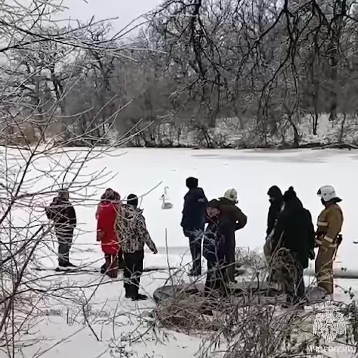 ������ ������� �� �������� �����