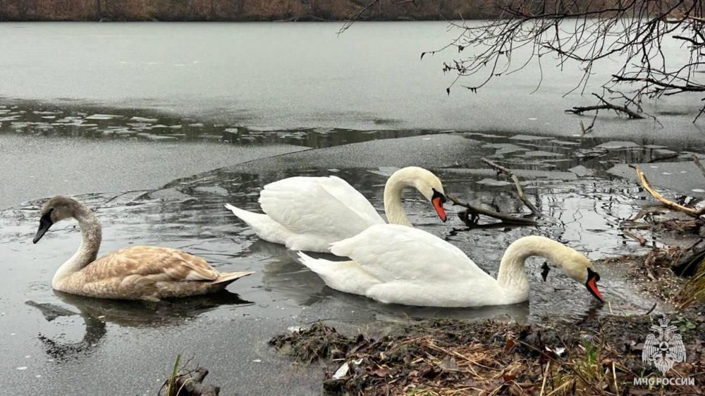 � �������� ����� ������� ���������� �� �������� �����