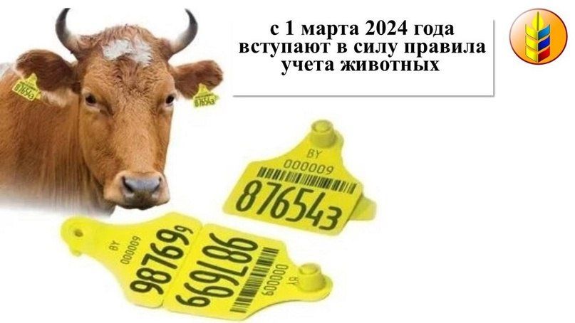 � 1 ����� 2024 ���� �������� � ���� ������� ����� ��������, �������� � �����-������ ����������� ���