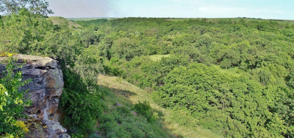 ������������ �������� �������� �� ���������� ��������� �������� ���������� ����� ������ �������� ��������� ������� � �������� ������������ ��������, ���������� �� ���� ��������� �� ����������� ������� �������� ����������� �������� �����