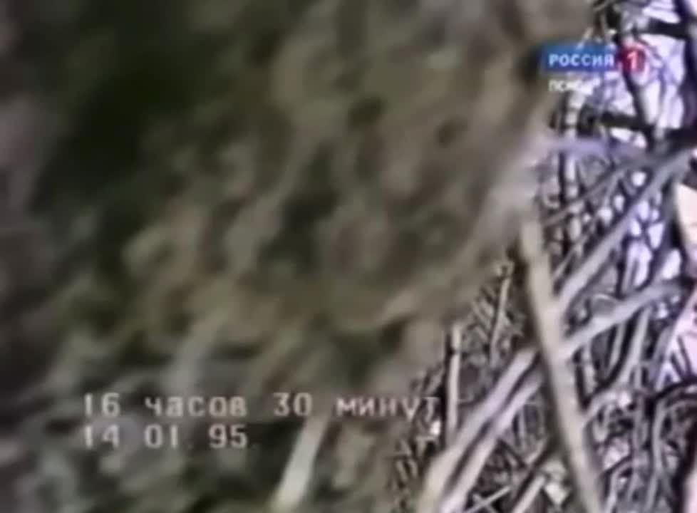 15 ������� � ���� ������ �����������, �������� ��� ���������� ���������������� ������������