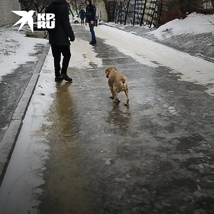 ���������� ������ � ������� ����� �� ������ �������� 15 �������