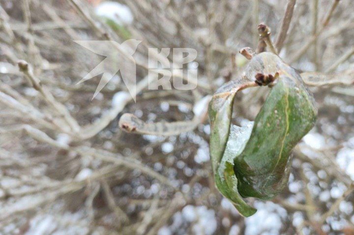 � ��� 17 ������� ������������ ������� � ����� �� 15-18 ������ � �������