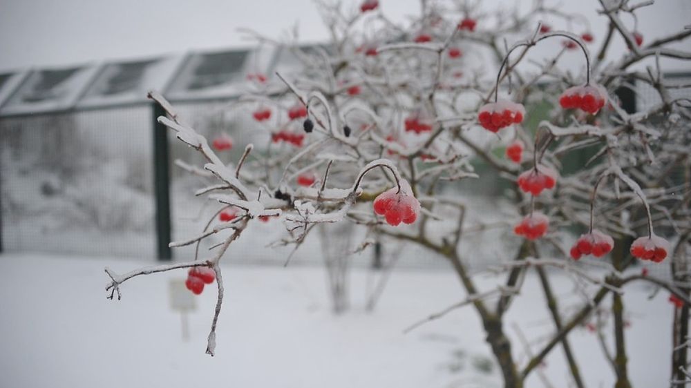 ����� 540 ����� ������� � �������� �� �������� ��� ������������� ��-�� ��������