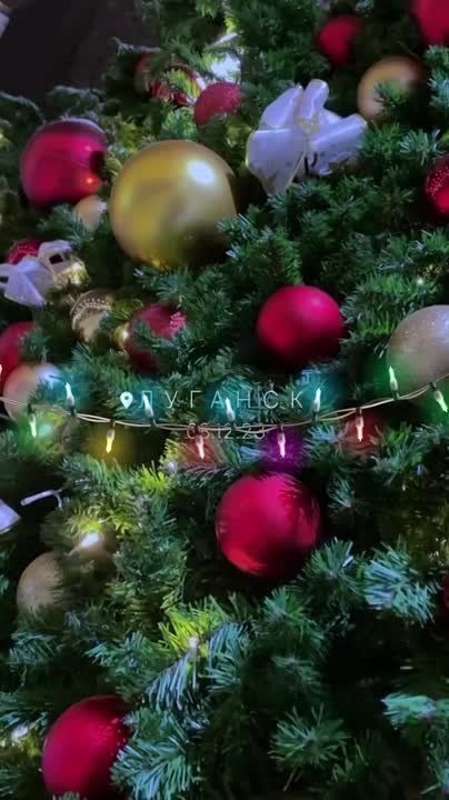 ������ �� ����� ��� � �������� �������� +100 � ����������� ����������