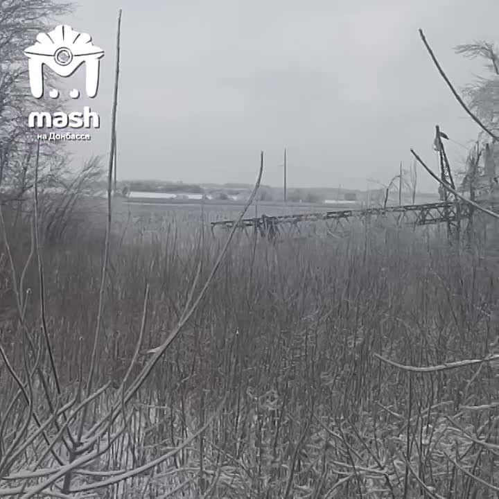 251 ������ ������� � 229 ��������� ������� ��� ����� ��� ����� ��-�� ����������� ���. ������� 6�7 ��: ������ �����, ������� ����������